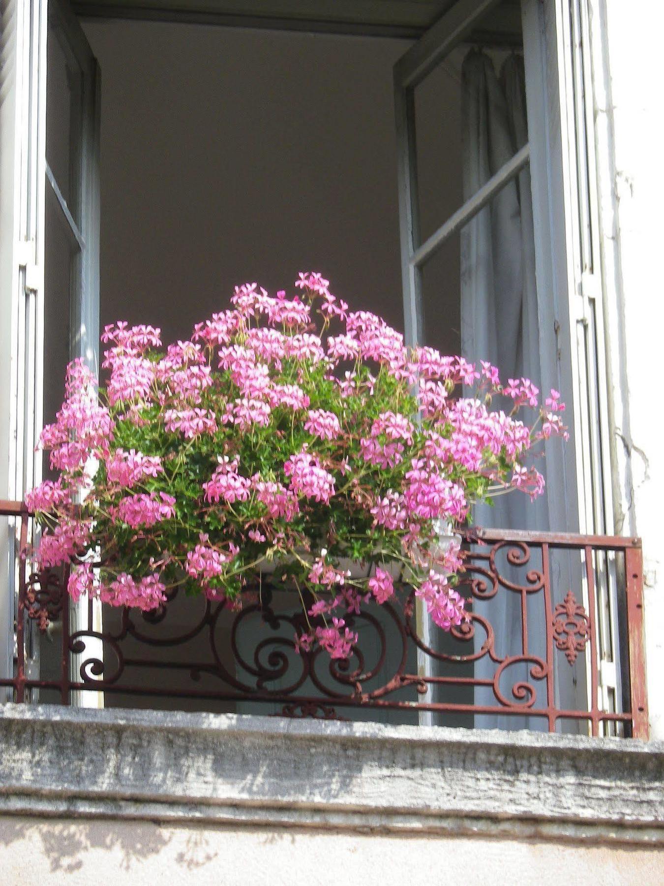 Hotel Saint Jean Chalon-sur-Saône Eksteriør billede